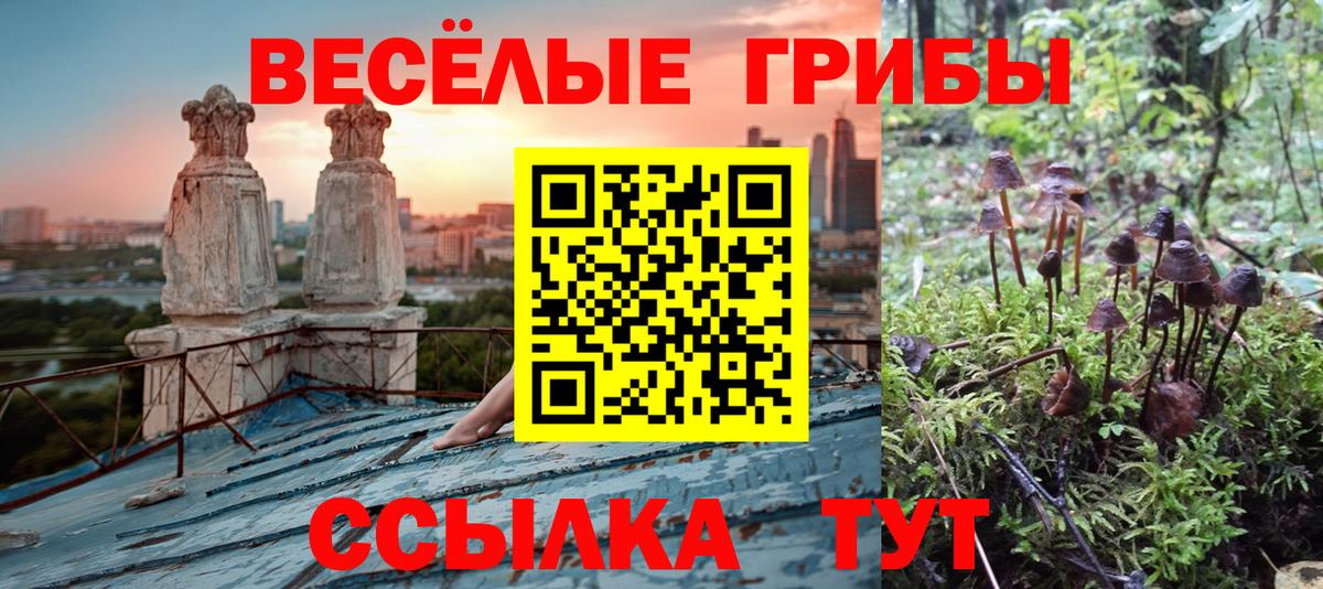 Галлюциногенные грибы мухоморы  Вход с VPN  Псилоцибиновые грибы прущие грибы  Астрахань 