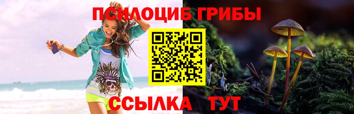 Галлюциногенные грибы Psilocybine cubensis Астрахань
